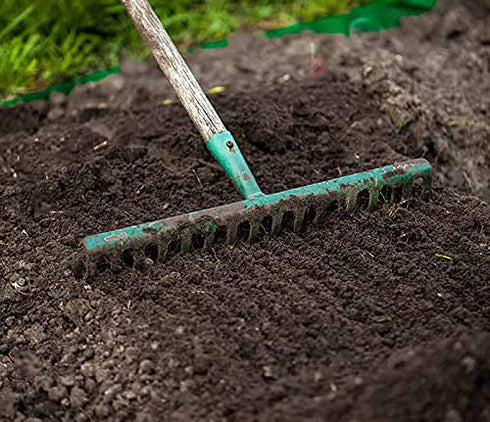 Navika Original And Pure Bermuda Grass Seeds